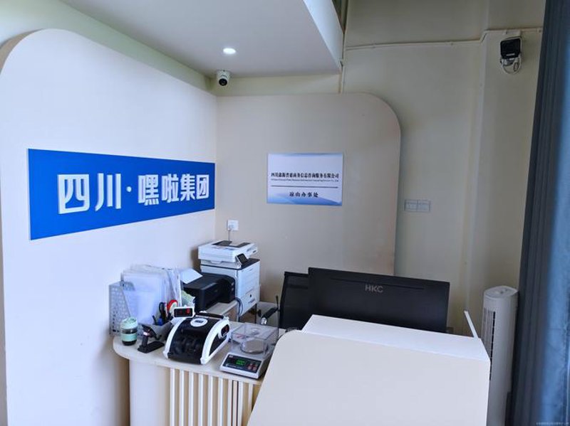 系统集成在信息化时代的应用与创新